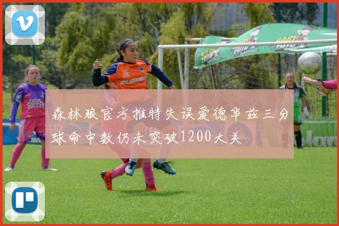 森林狼官方推特失误爱德华兹三分球命中数仍未突破1200大关