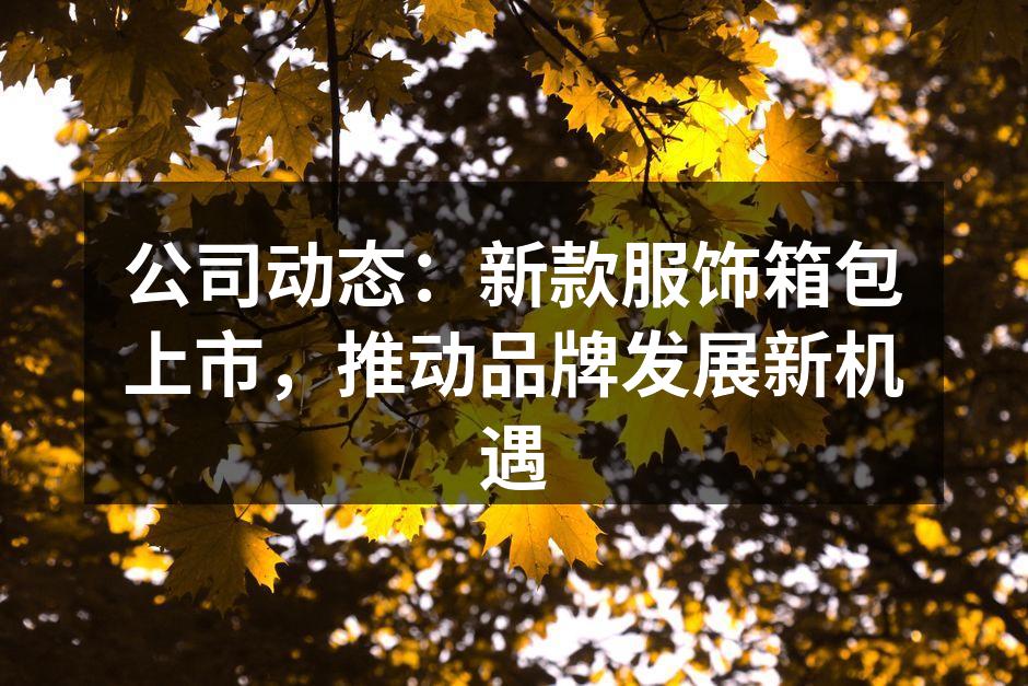 公司动态：新款服饰箱包上市，推动品牌发展